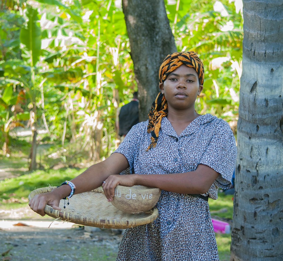 Jacmel | D’imaj96 Jacmel | D’imaj96